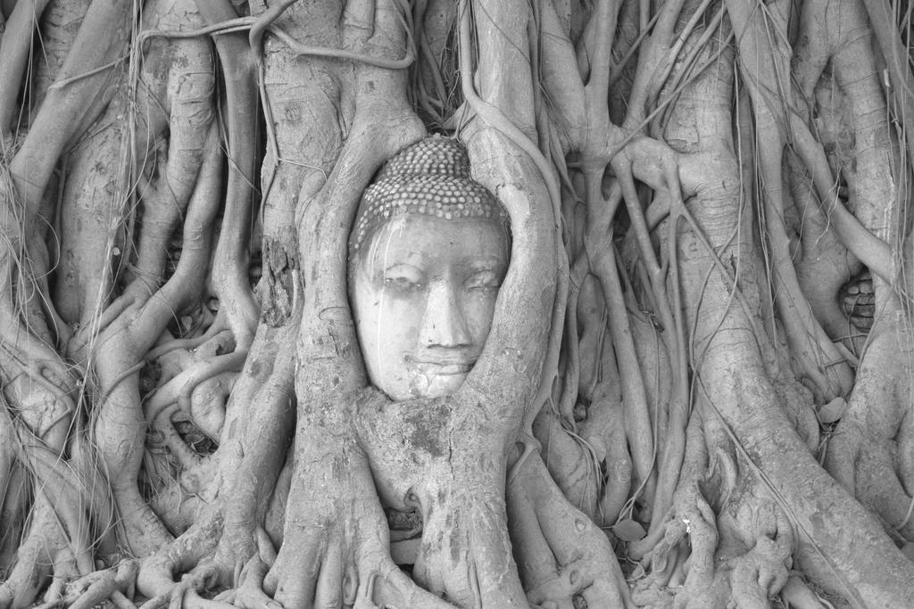 Brickhouse Ayutthaya Guesthouse Est 1986 Экстерьер фото